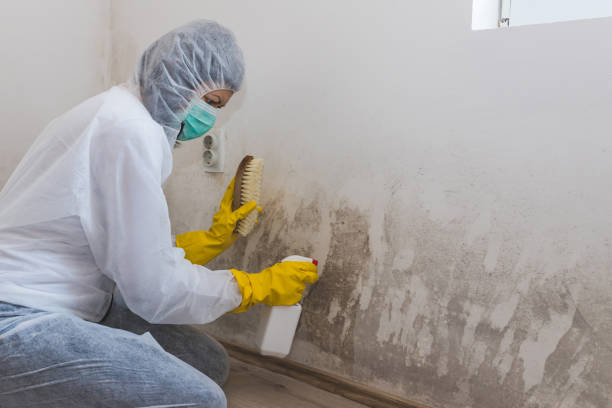 Mold Removal for HVAC Installations in Minco, OK